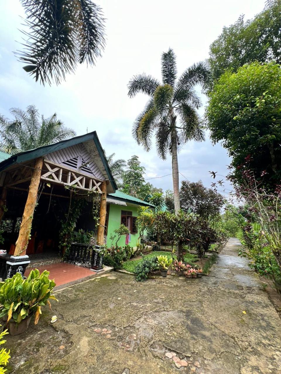 Wisma Batu Mandi Bukit Lawang Exterior foto