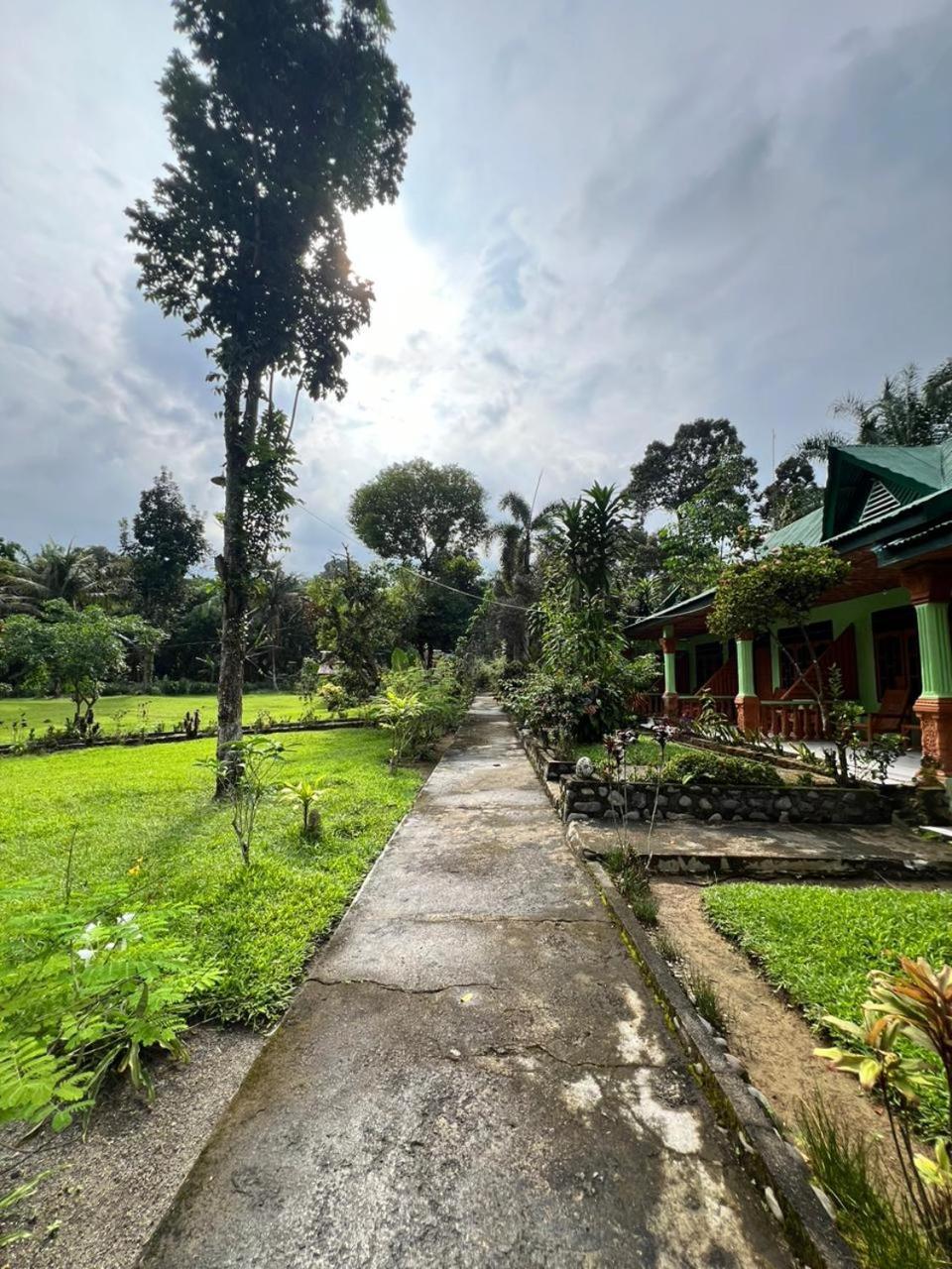 Wisma Batu Mandi Bukit Lawang Exterior foto