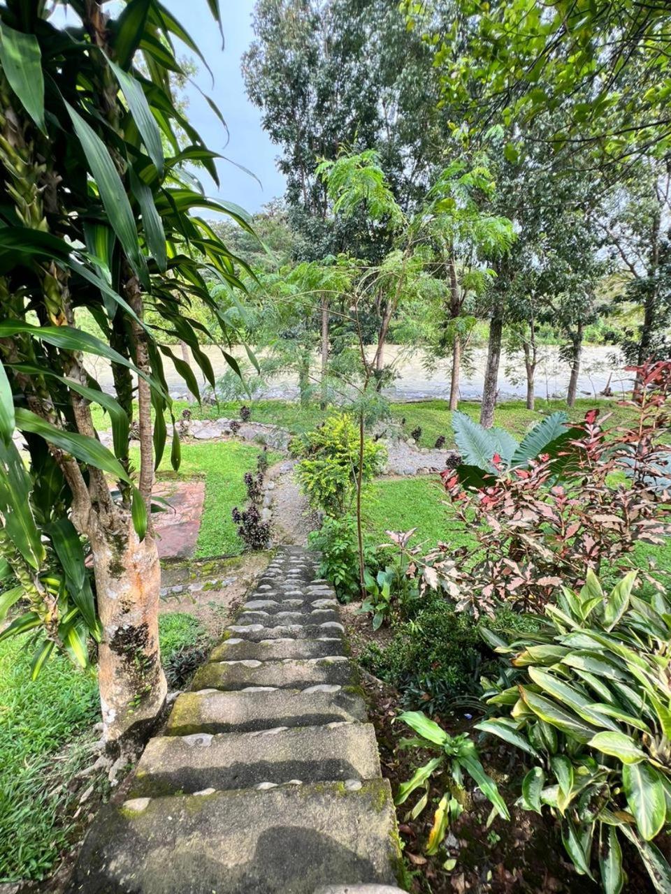 Wisma Batu Mandi Bukit Lawang Exterior foto