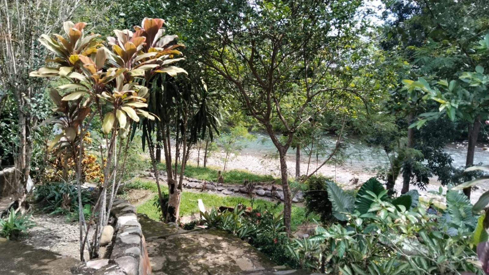 Wisma Batu Mandi Bukit Lawang Exterior foto